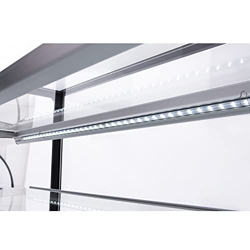 Commercial Bakery Display Case, WESTLAKE 36"W Curved Glass Refrigerated Bakery Display Case with LED Lighting